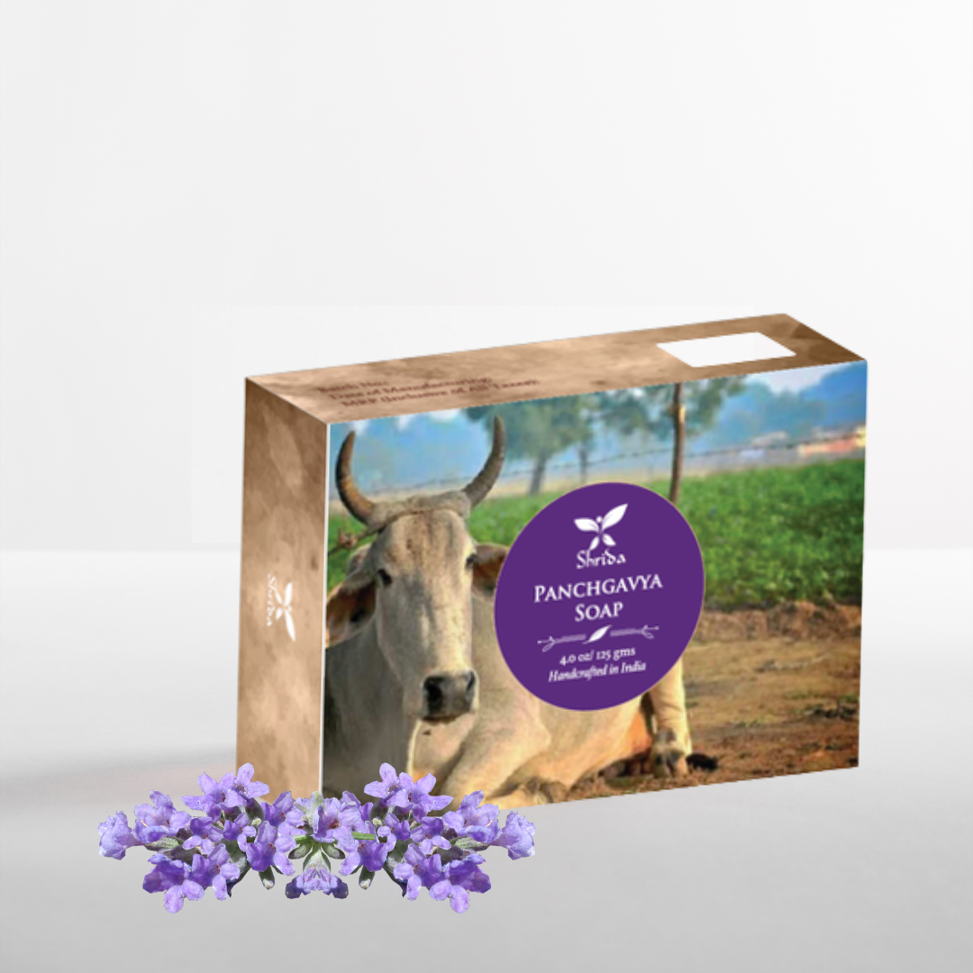 Panchgavya Soap 125g